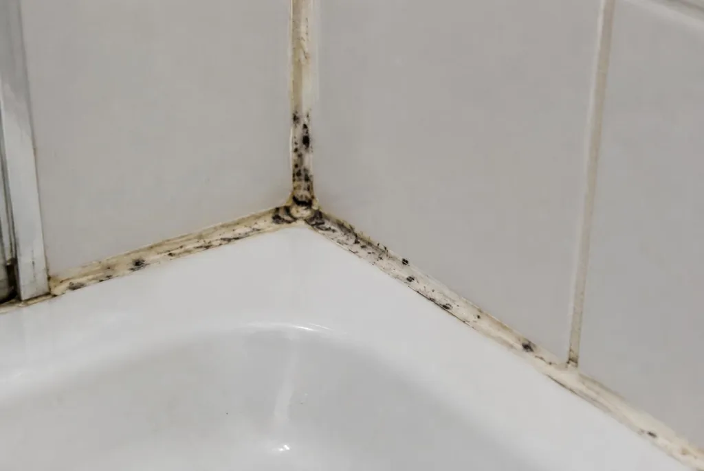 Kitbedrijf Hilversum – beschimmelde kitranden